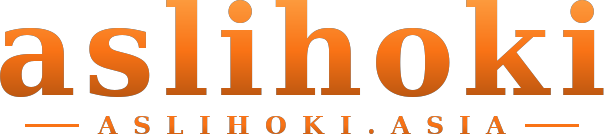 aslihoki logo